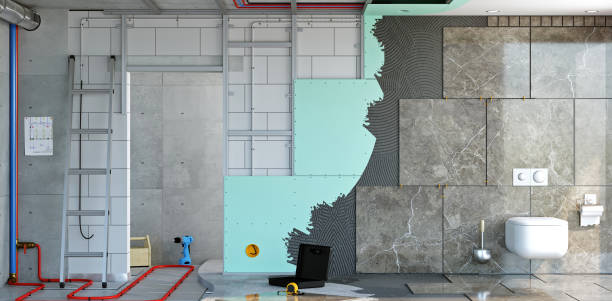 Best Basement Mold Removal  in Holland, TX