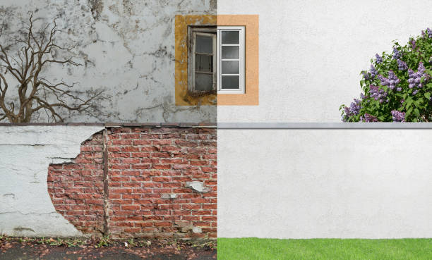 Best Water Damage & Mold Remediation  in Holland, TX